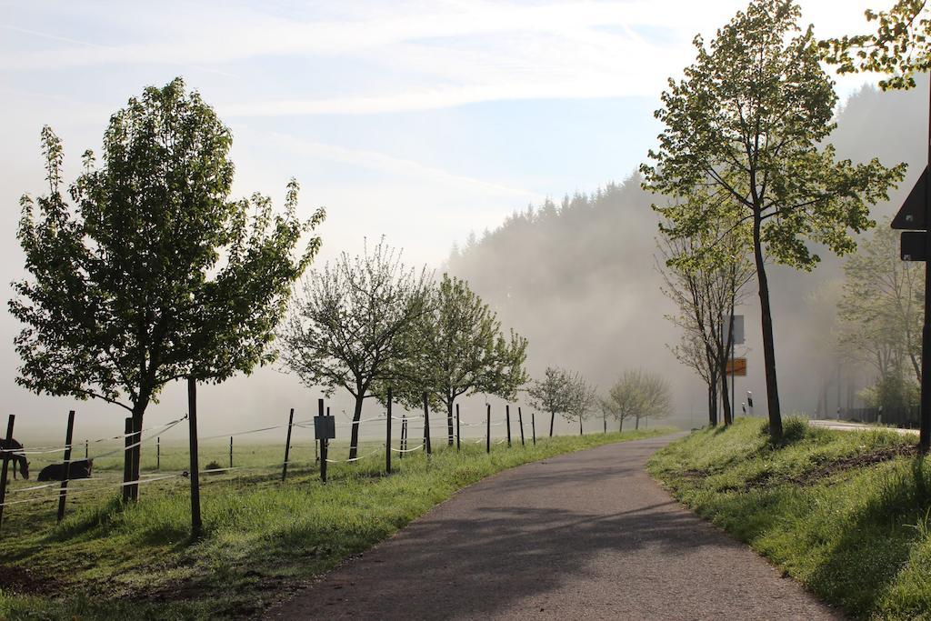 Naturpurhotel Maarblick Meerfeld Oda fotoğraf